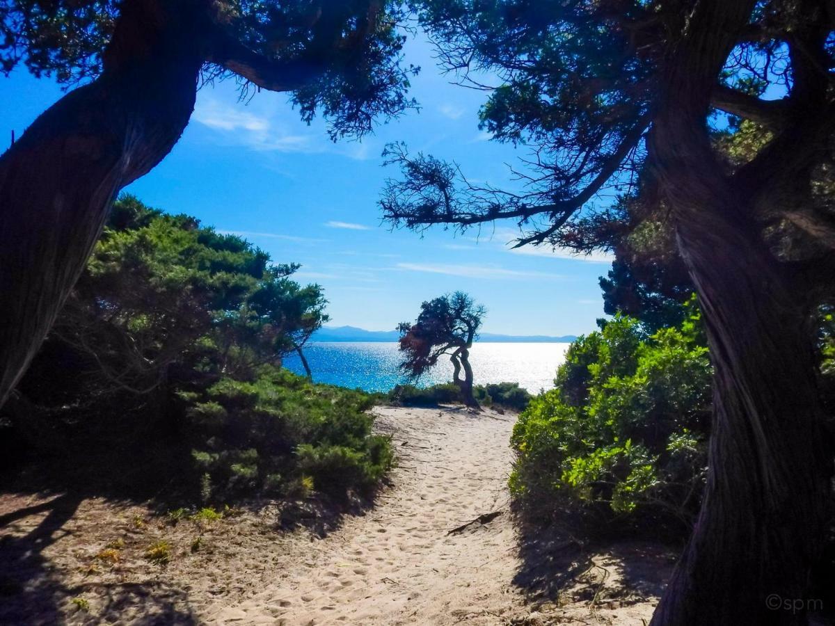 Hotel Marinaro Santa Teresa Gallura Zewnętrze zdjęcie